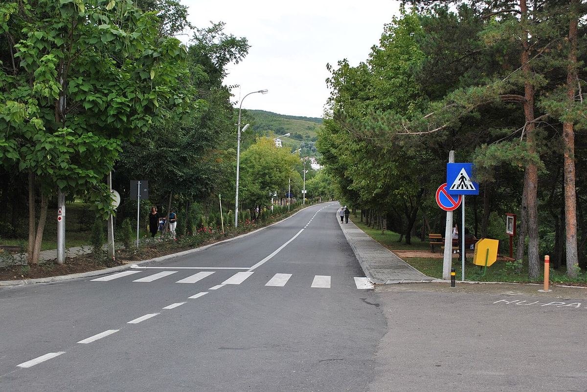 Strada principală a unei localități rurale din România, cu case joase și drum asfaltat.