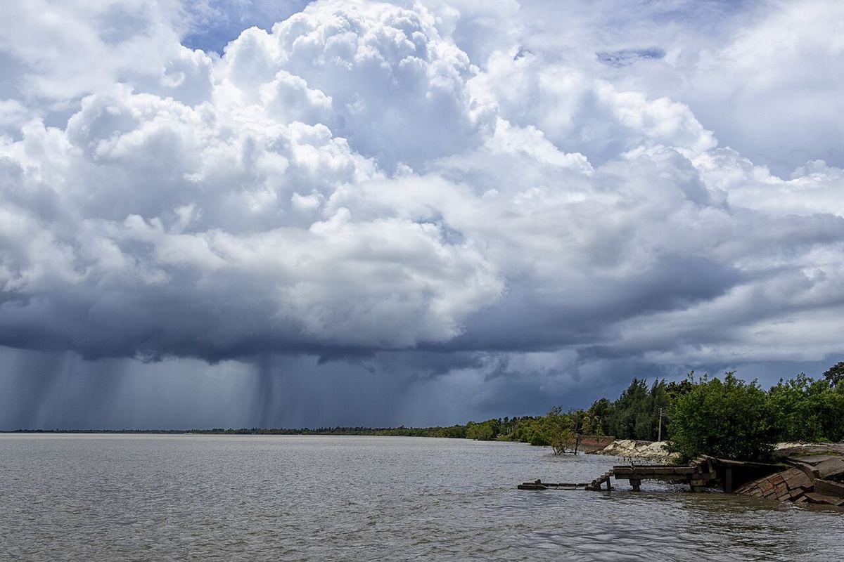 Nor cumulonimbus vertical deasupra mangrovelor din Sundarbans, West Bengal, India, cu vârful în formă de nicovală.
