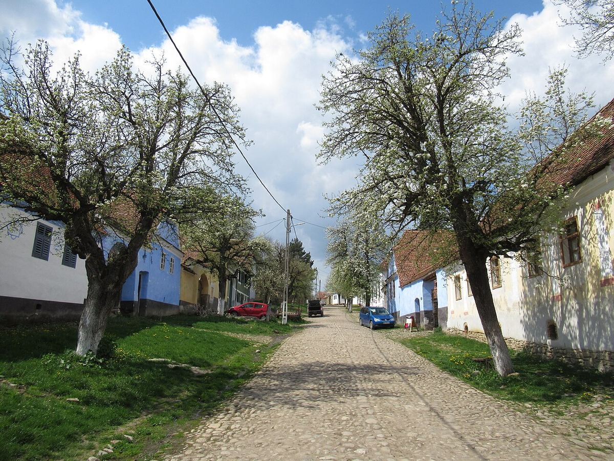 Imagine ilustrativă a unui sat rural cu case tradiționale, asociată unui proiect de colectare a deșeurilor voluminoase.
