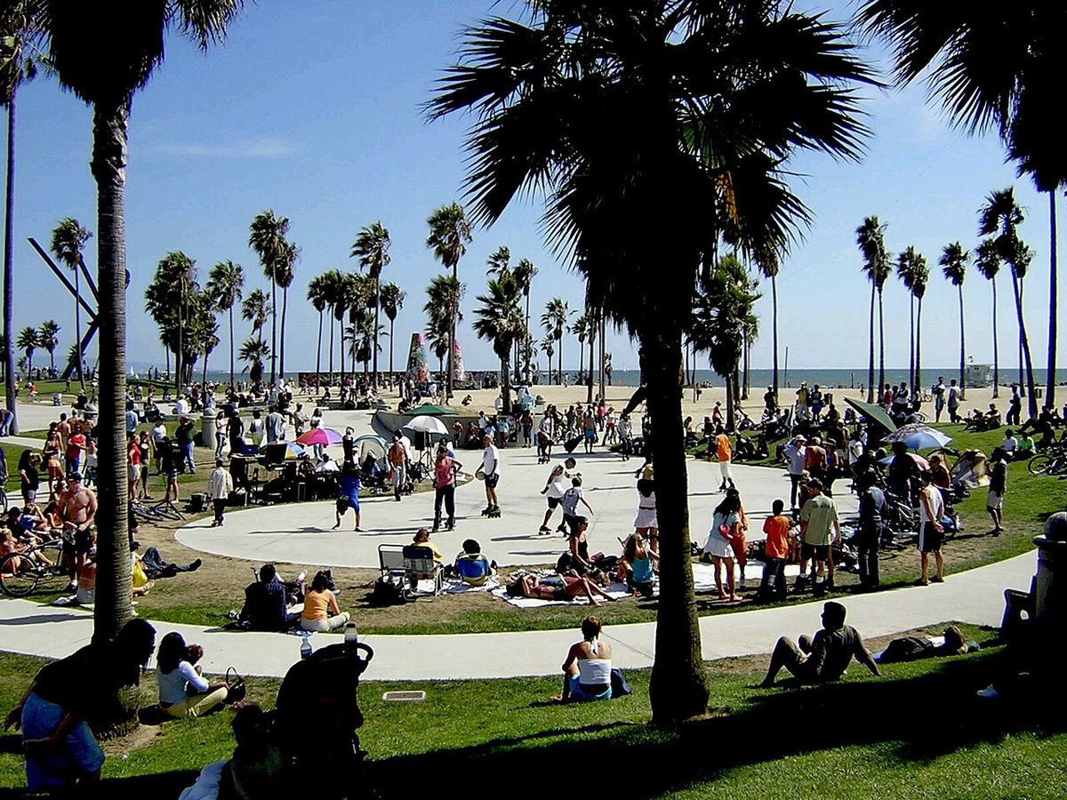 Promenada și plaja de la Venice Beach, Los Angeles, cu palmieri și oameni relaxându-se pe o zi însorită.