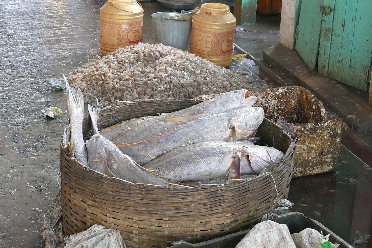 Piață de pește cu pești și alte produse marine expuse, ilustrativ, fotografie dintr-o piață din Kolkata.