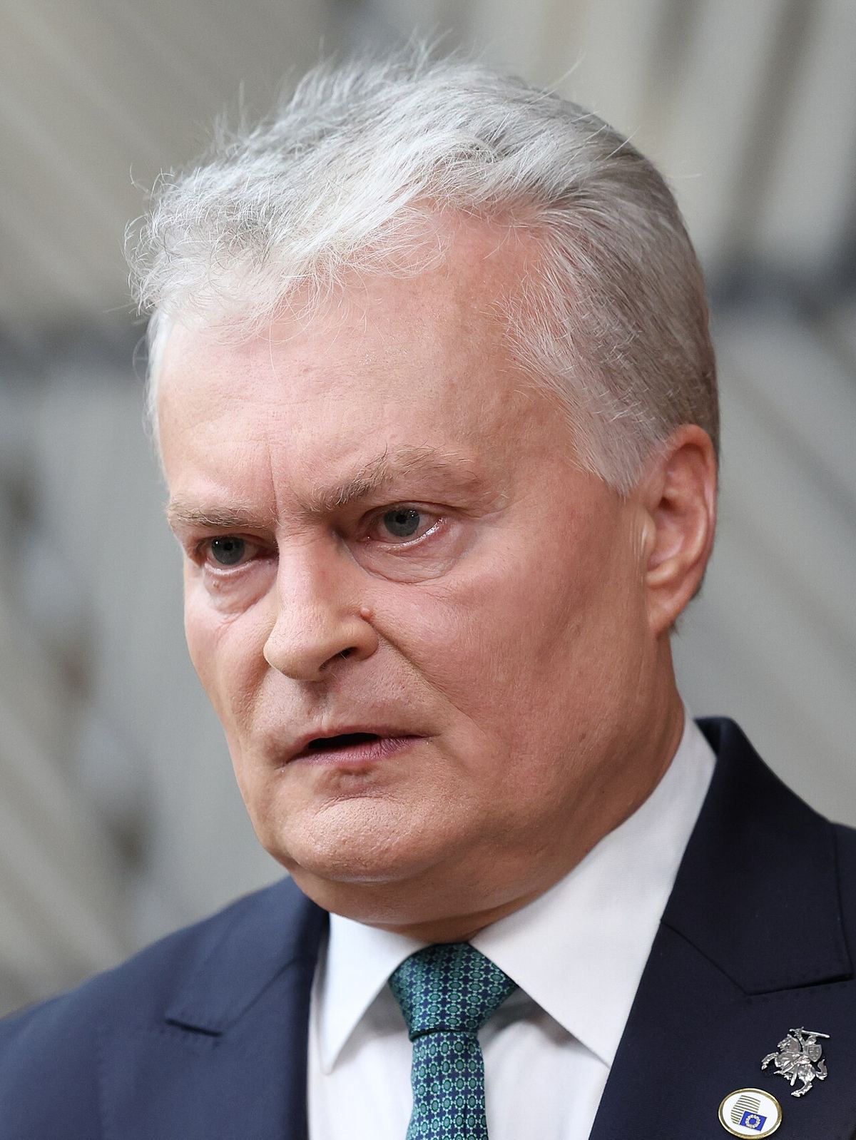 Gitanas Nausėda, președintele Lituaniei, în portret oficial.