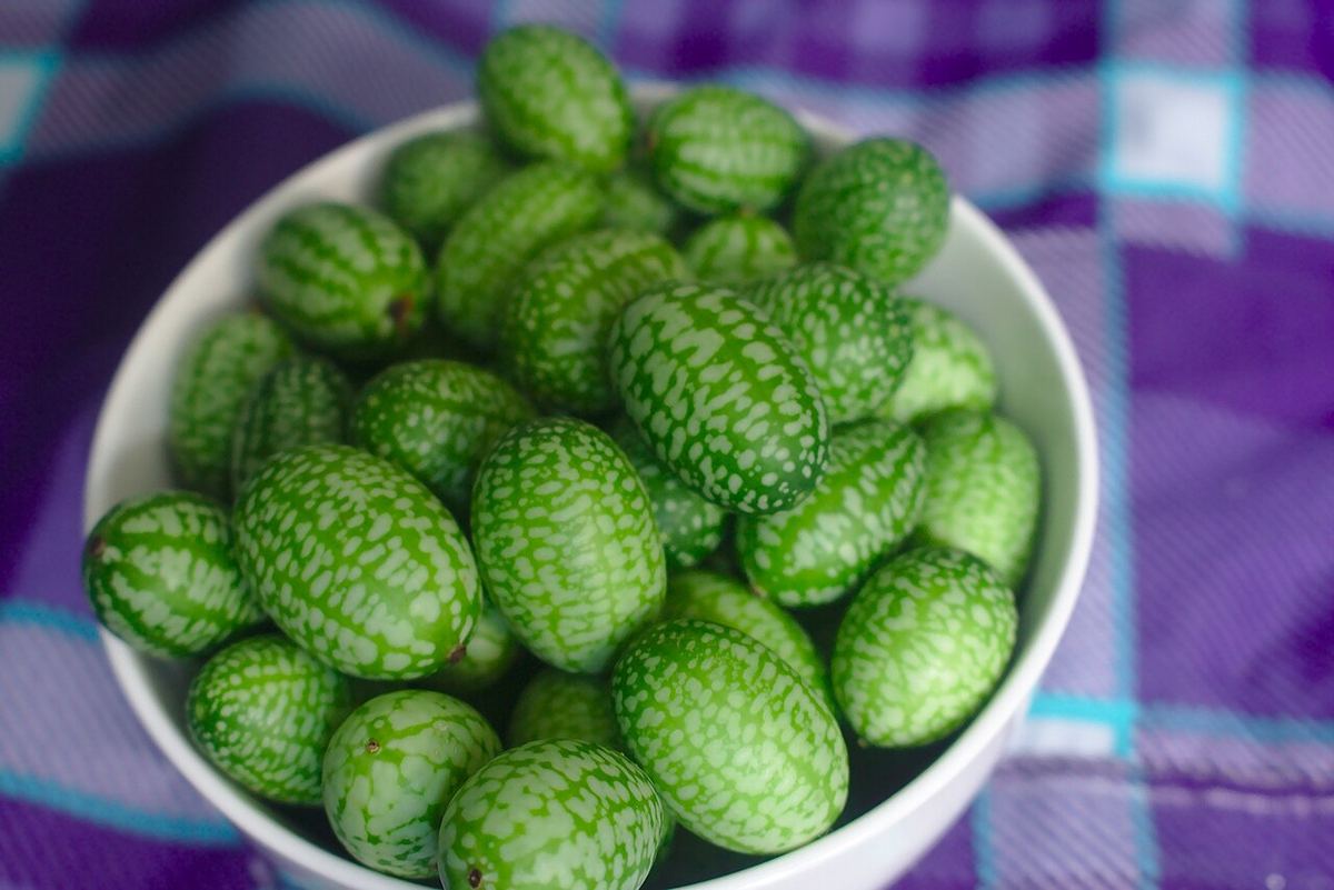 Fructe mici, verzi, cu dungi, de castravete mexican (Melothria scabra) într-un bol alb.