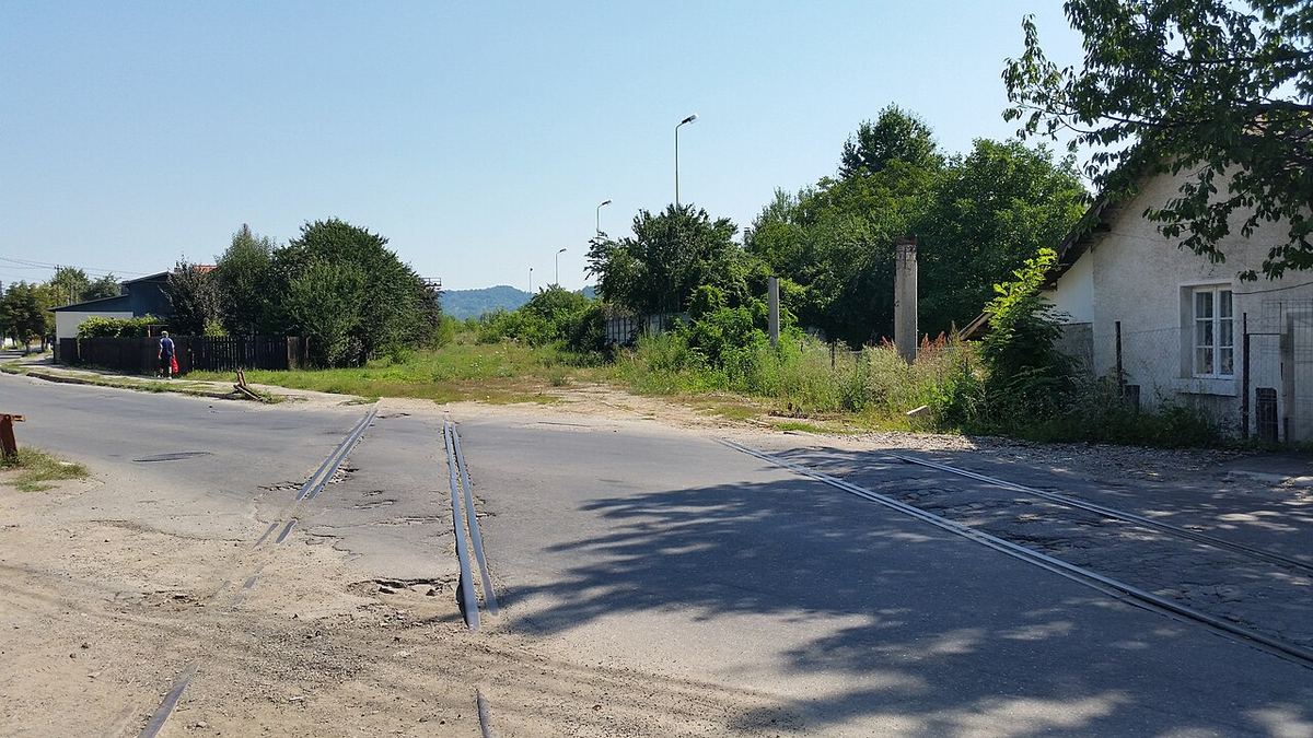 Intersecție din Câmpina, Prahova, cu șine de cale ferată traversând carosabilul; nu apare niciun urs în imagine.