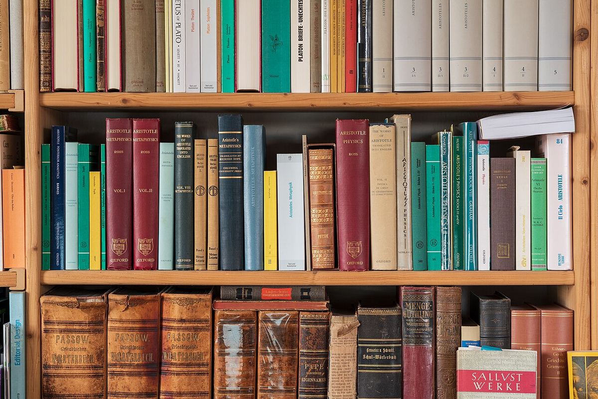 Rafturi de bibliotecă cu multe cărți, unele legate în piele și altele cu coperte moderne, ilustrație generică pentru editură.