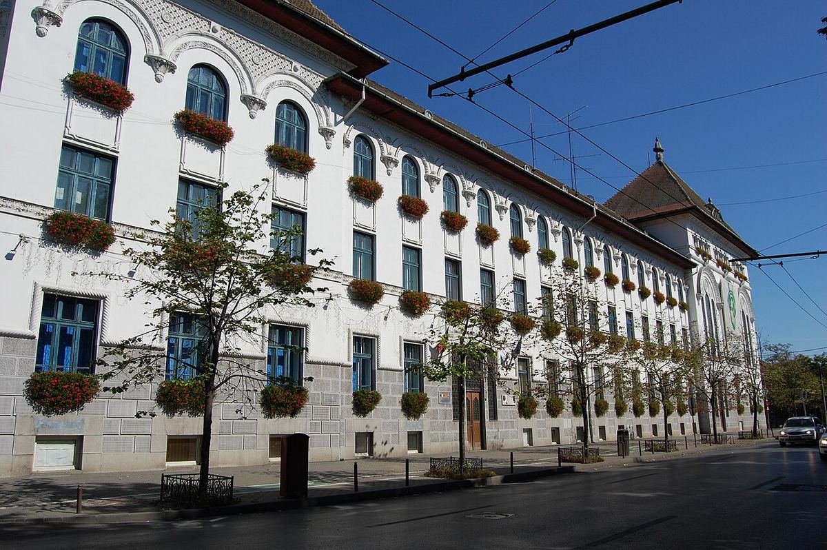 Clădirea Primăriei Timișoara, cu ferestre înflorite și un tramvai aerian pe strada din față, pe o zi însorită.