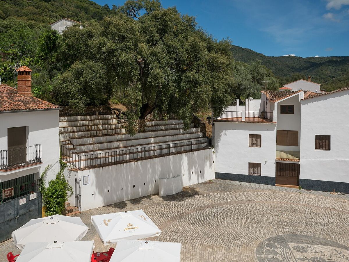 Piață dintr-un sat din Andaluzia, cu case văruite, un copac mare și umbrele albe de terasă, pe pavaj de piatră.