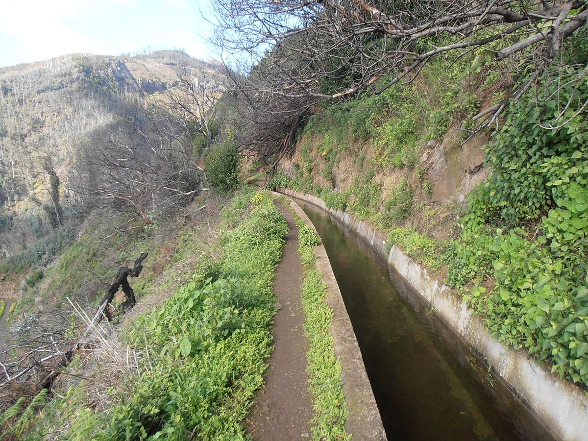 Potecă de-a lungul unei levade, canal de irigații de pe insula Madeira, bordat de vegetație verde și versanți abrupți.