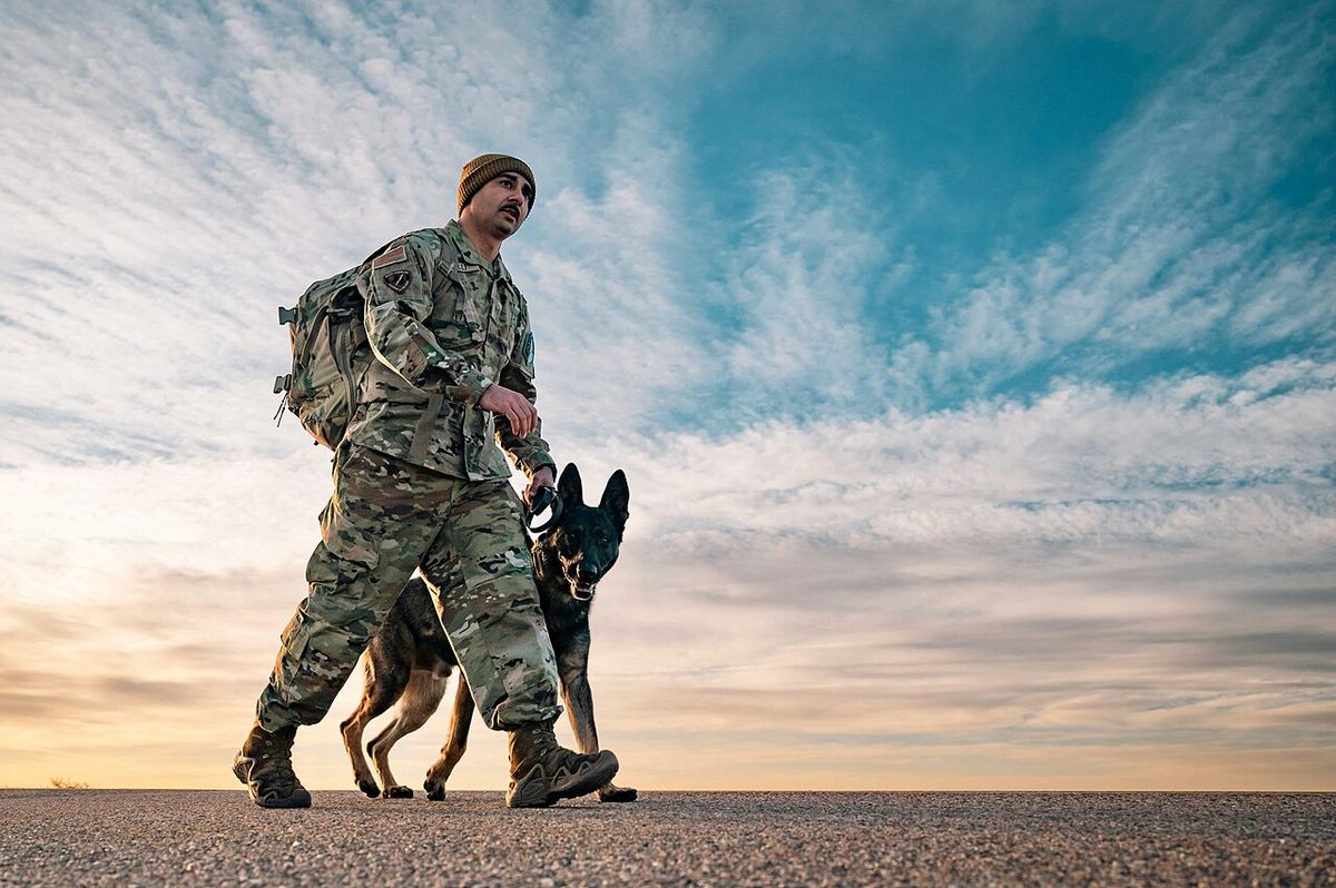 Un militar al Forțelor Spațiale SUA, Senior Airman Paolo Renzetti, face un marș cu rucsac alături de câinele său militar Mixi, la Buckley, Colorado.