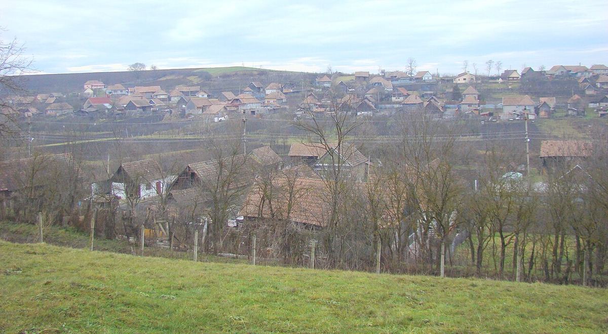 Sat românesc văzut de pe un deal