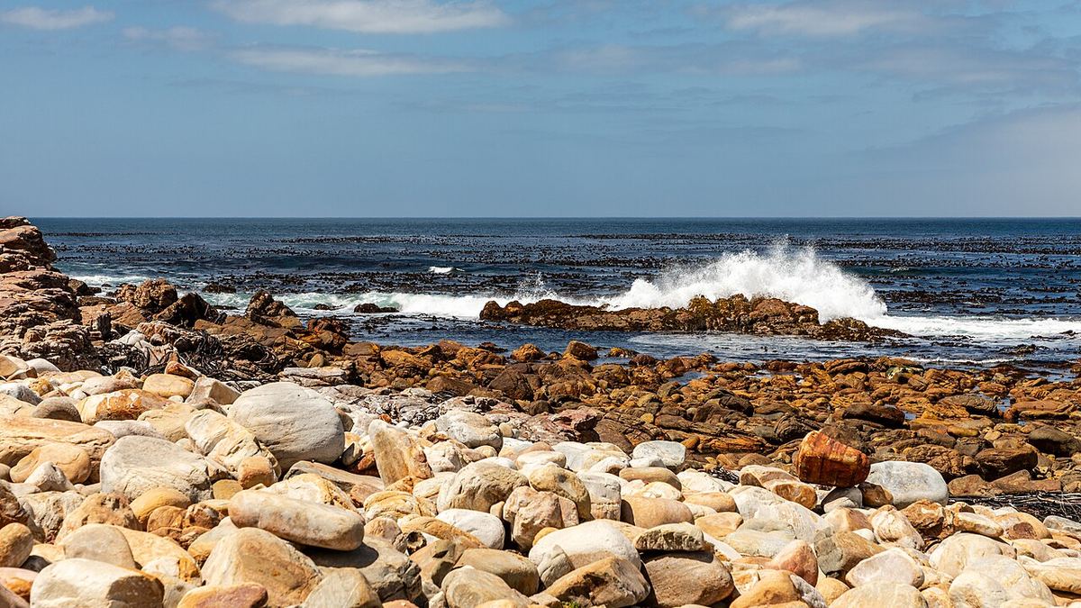 Coasta Capului Bunei Speranțe, Parcul Național Peninsula Capului, Cape Town, Africa de Sud.
