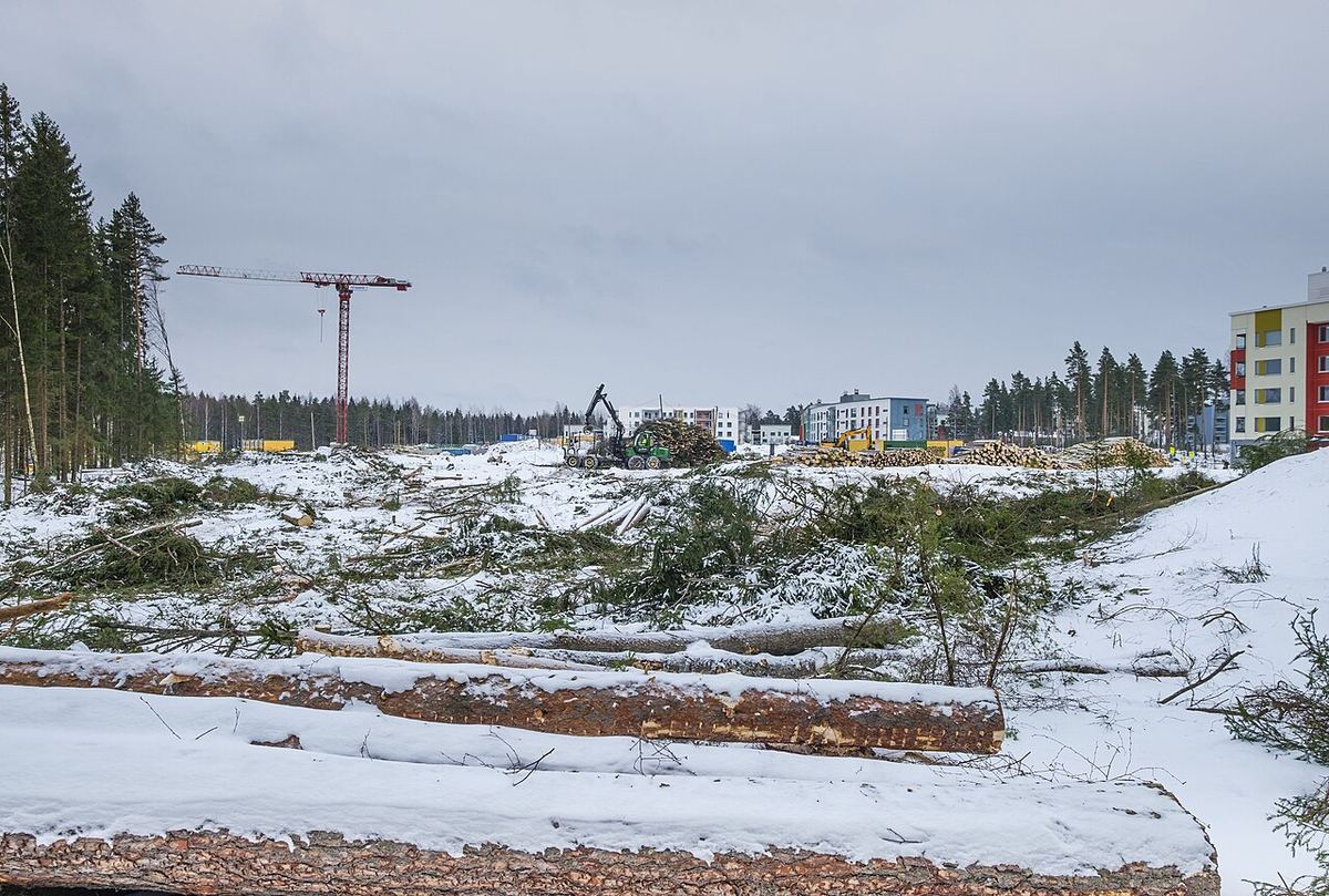 Zonă de pădure defrișată în Finlanda, cu trunchiuri tăiate și resturi de lemn pe teren, lângă o zonă rezidențială.