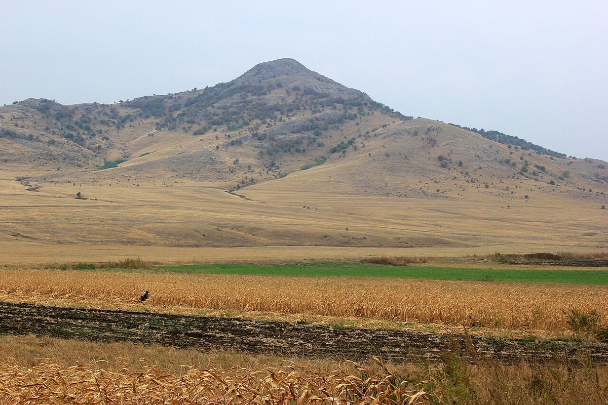 Câmpuri agricole cu porumb și dealuri în județul Tulcea, România, în lumina toamnei.