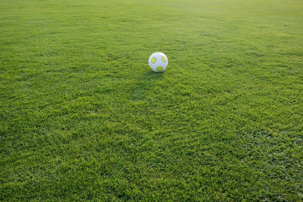 Minge de fotbal pe un teren cu iarbă