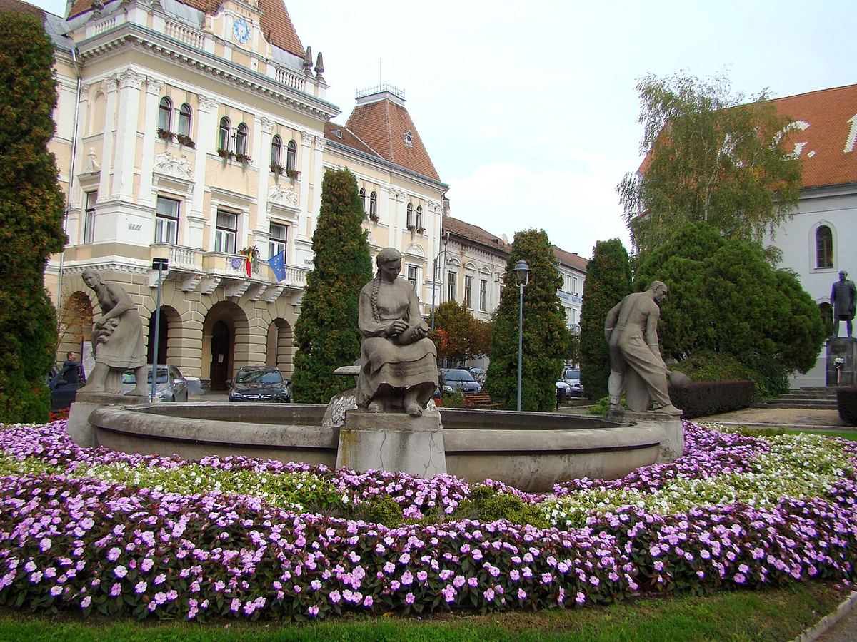 Vedere a municipiului Odorheiu Secuiesc, județul Harghita, România.
