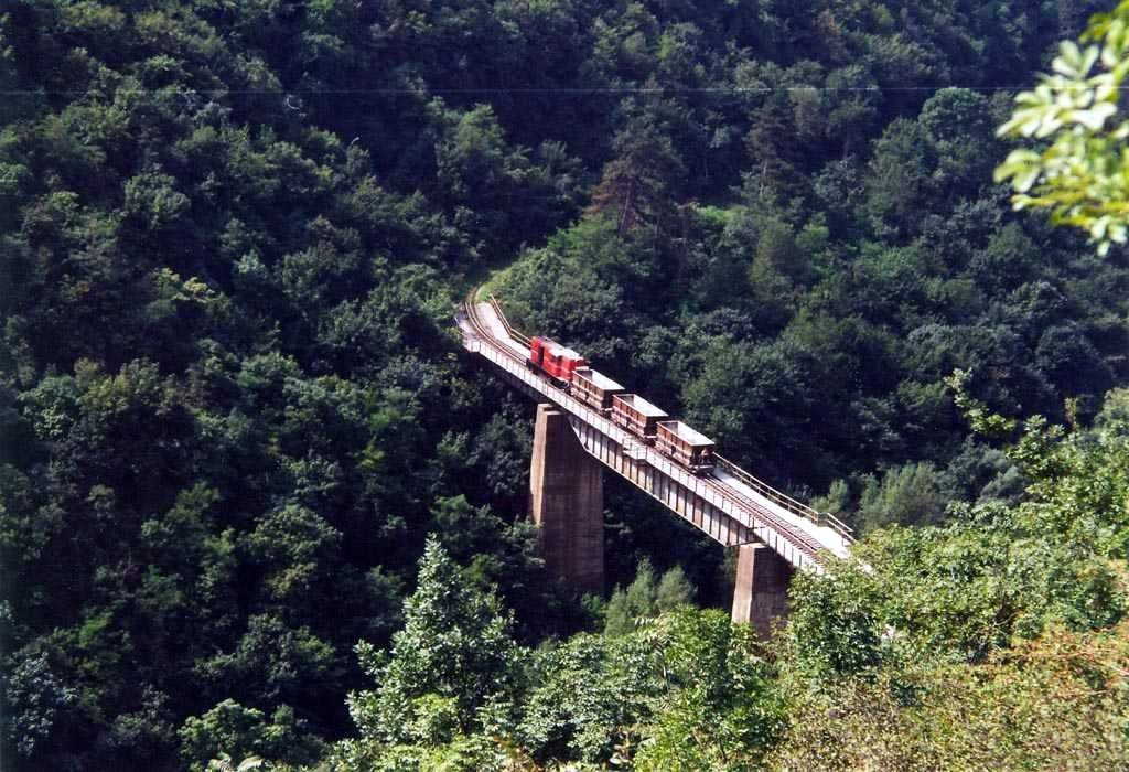 Tren cu locomotivă roșie traversând un viaduct de cale ferată printr-o vale împădurită din munții Hunedoarei.