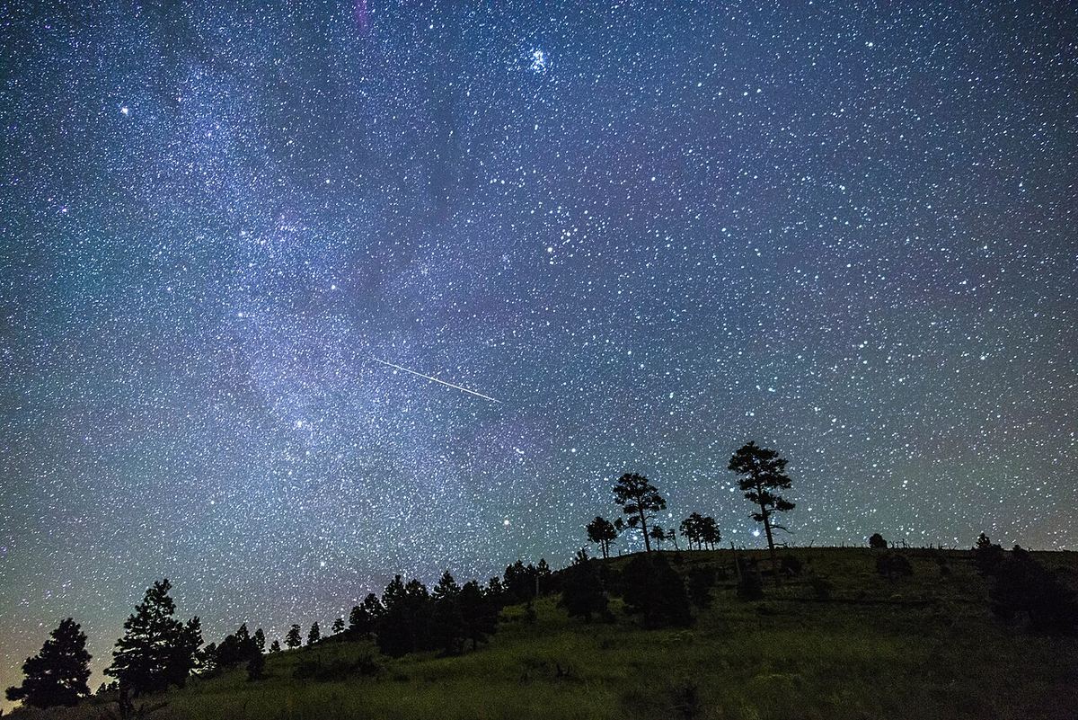Cer nocturn înstelat peste un deal întunecat, cu o dâră luminoasă de meteor și siluete de pini.