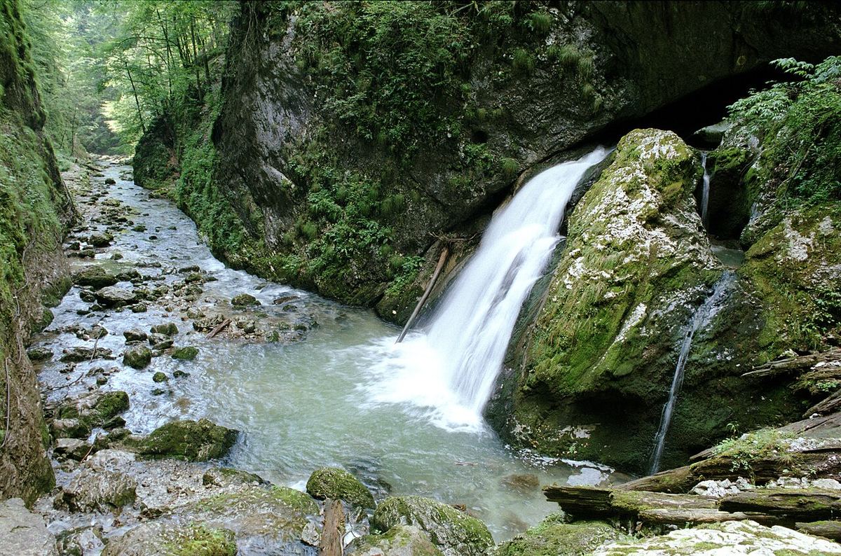 Cheile Galbenei, un defileu stâncos cu râul Galbena, în Parcul Natural Apuseni, județul Bihor.