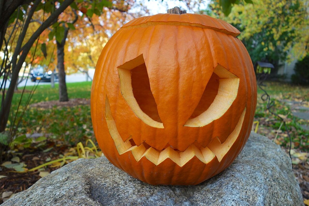 Dovleac sculptat de Halloween, portocaliu, așezat pe o piatră, cu copaci în fundal.