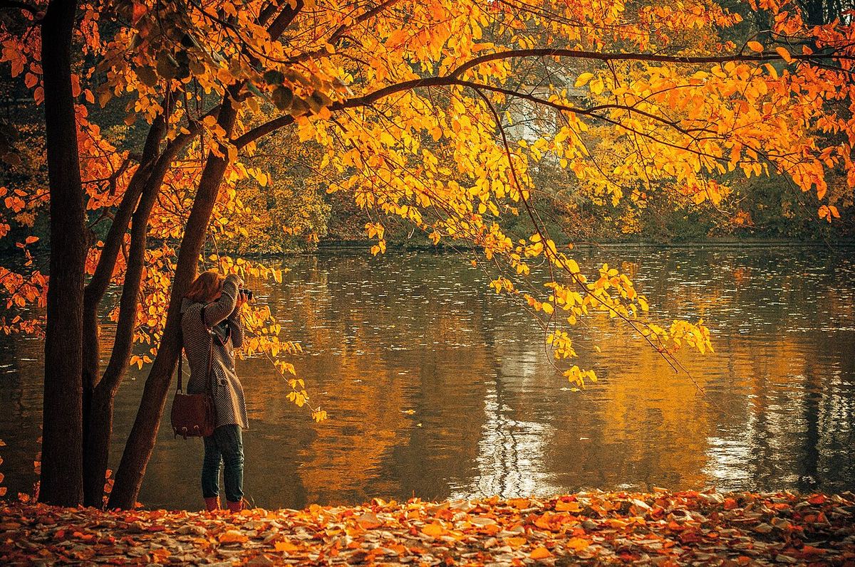 Frunze căzute de toamnă pe malul unui lac dintr-un parc din București, cu o femeie care fotografiază copacii.