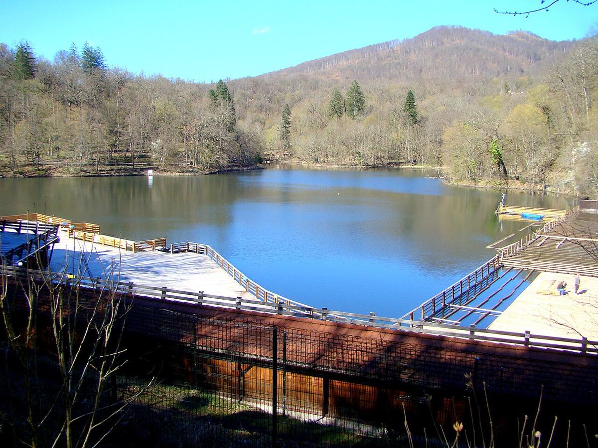 Lacul Ursu din Sovata, județul Mureș, cu malurile împădurite și apa liniștită.